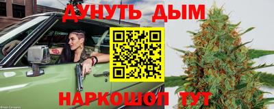сатива Ирбит