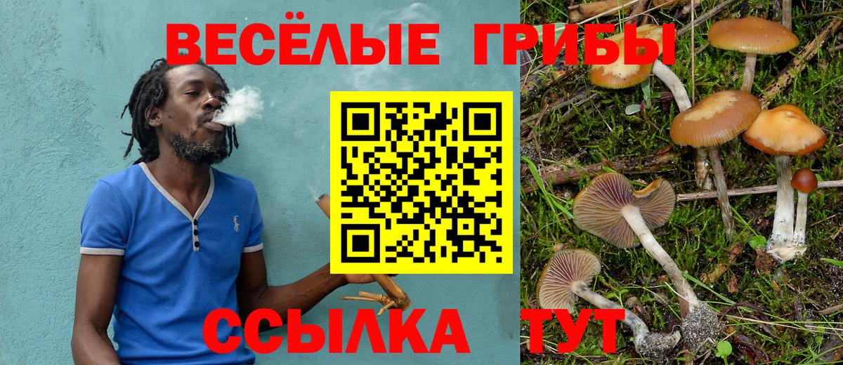 Самара  Галлюциногенные грибы MAGIC MUSHROOMS  Псилоцибиновые грибы Magic Shrooms  Вход с VPN 